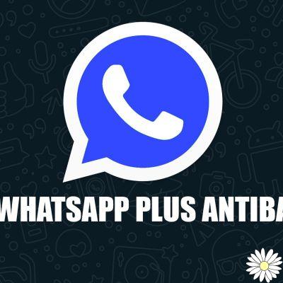 Instale o WhatsApp mais