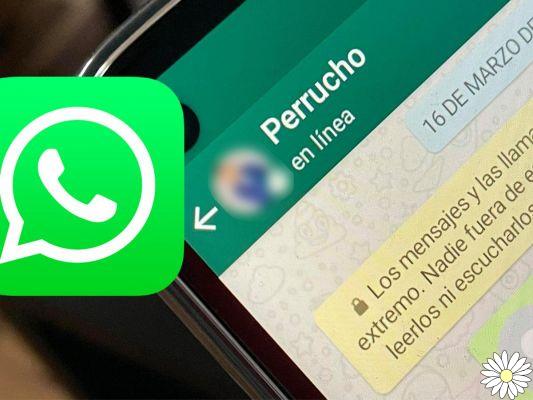 Mensagens lidas não aparecem online Whatsapp