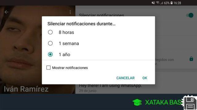 Silenciar contacto grupo whatsapp