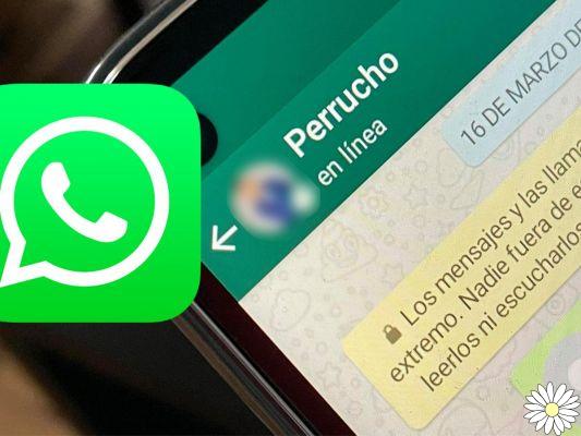 Leer mensajes no aparecer en linea whatsapp